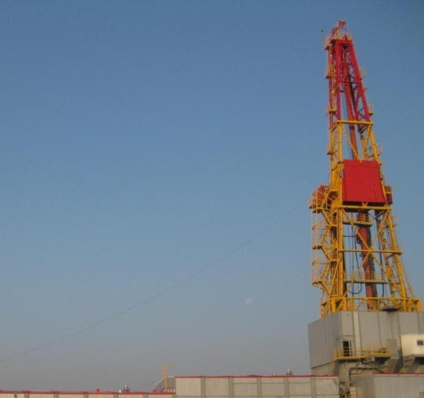 Профессиональные услуги в нефтегазовой отрасли